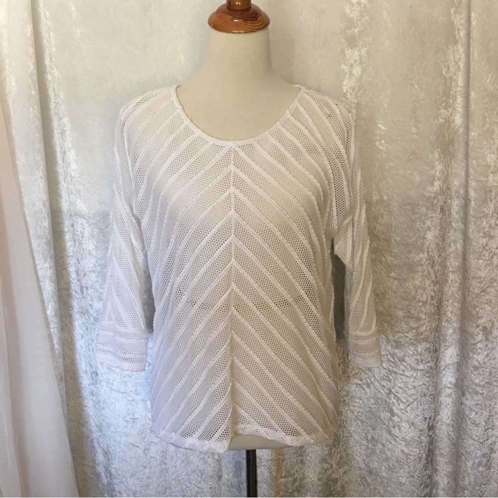 Alfani White sheer knit blouse size Small Petite